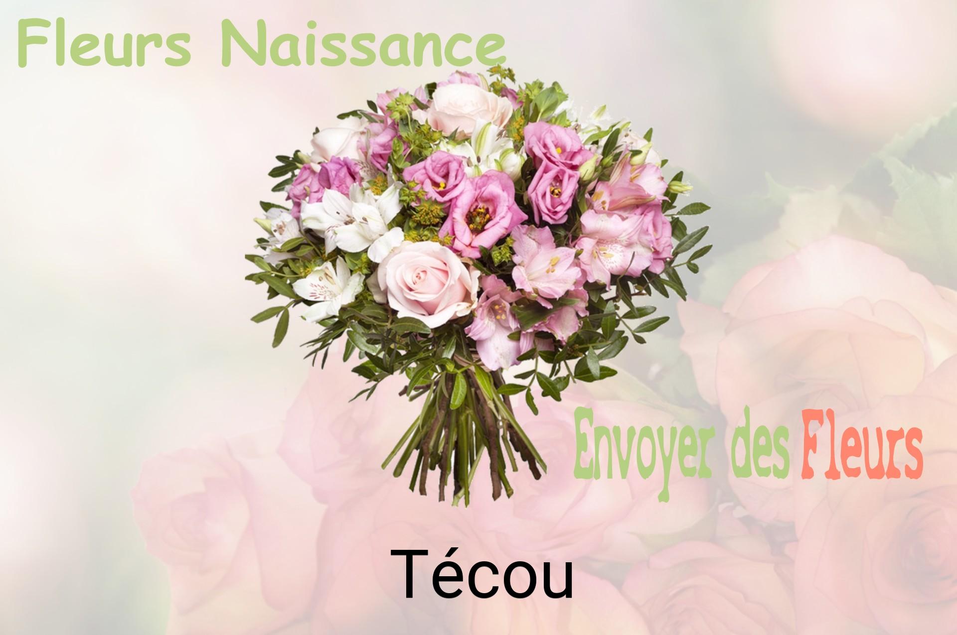 Bouquet de fleurs de naissance livré à Técou